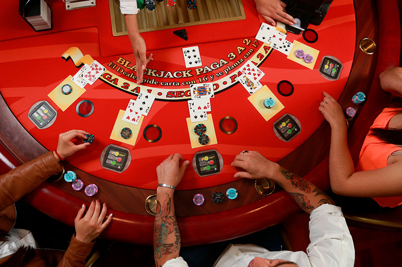An honest Report on Leon bet Casino